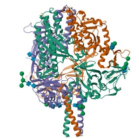 crystal-structure-of-nipah-virus-f-protein-in-prefusion-conformation