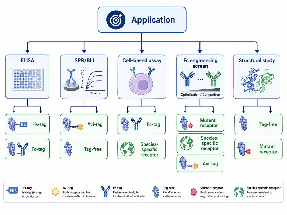 Fc Receptor Tag and Format Selection Map