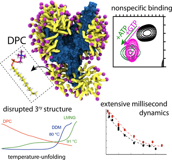 Dodecylphosphocholine (DPC) is the most widely used detergent for MP structure determination by NMR (J. Phys. Chem. Lett. 2018,)