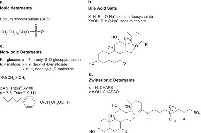 Classification of detergents (Seddon, A. M., et al. 2004)