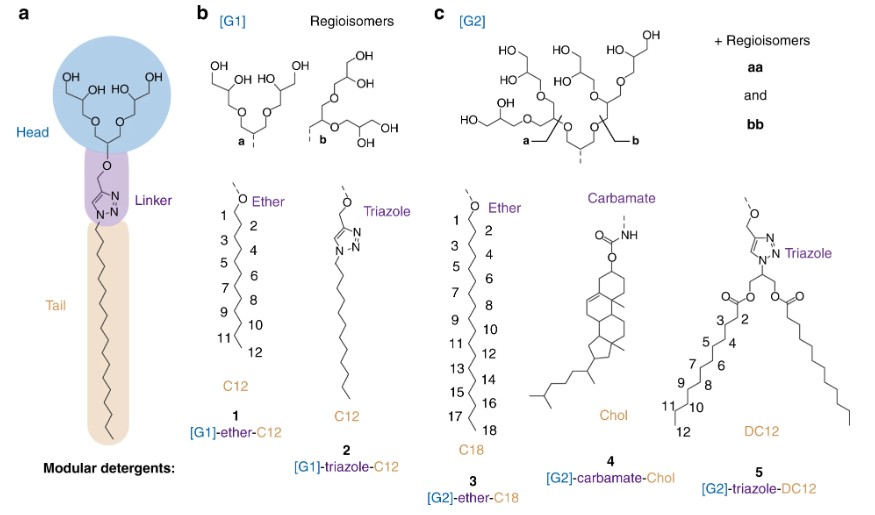 Describing the modular architecture of OGDs. (Urner, L. H. et al. 2020)