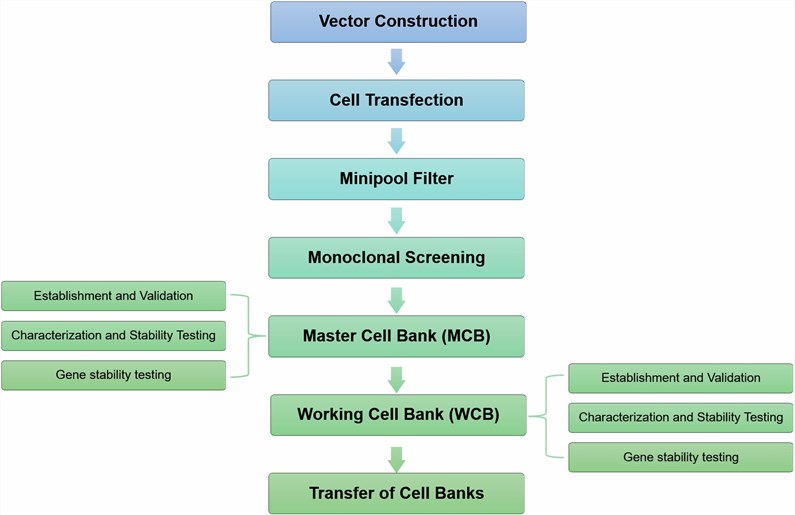 Drug Discovery Screening