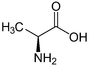 Alanine, Ala, A