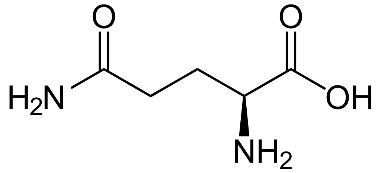 Glutamine, Gln, Q