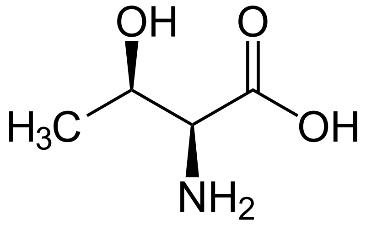 Threonine, Thr, T