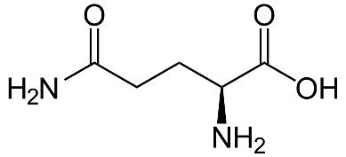 Glutamate, Glu, E