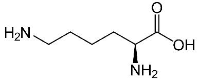 Lysine, Lys, K