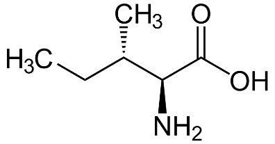 Isoleucine, Ile, I