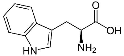 Tryptophan, Trp, W