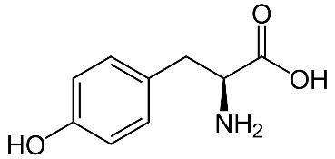 Tyrosine, Tyr, Y