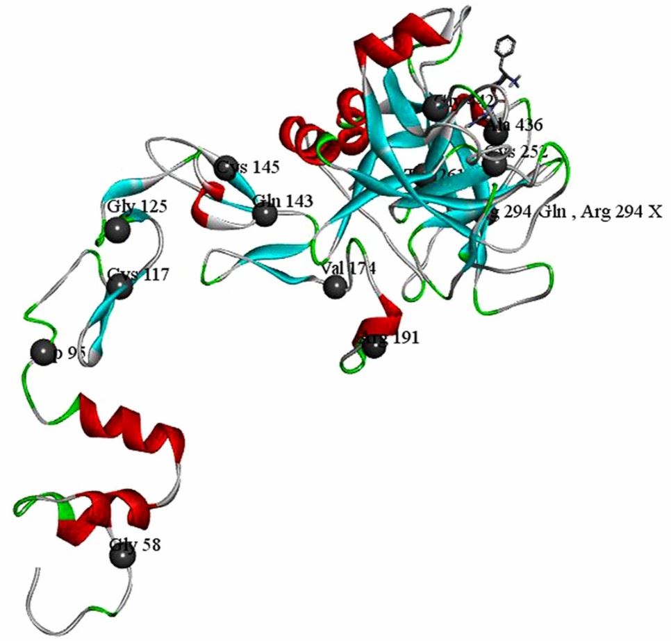 Crystal structure of factor (F) IXa and locations of the missense mutations. (Wang, QY., et al. 2016)