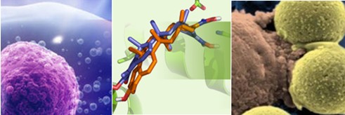 The 2nd Novel Immunotherapeutics Summit of GTC