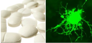 Metformin Vs Glioblastoma