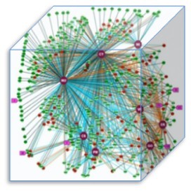 Protein Localization: Compare the Microscopy-based and Fluorescent Protein Tagging Method