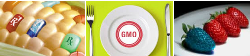 Genetically Modified Food: What Kind of Attitude should We Hold toward?