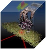 How Protein Rab is Extracted from Lipid Membrane