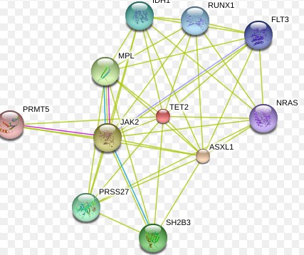 New Study Revealed the Crystal Structure of Protein TET2